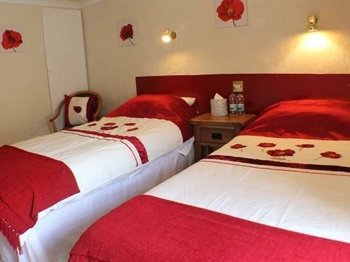 Afon Duad Inn Cwm-Duad 外观 照片